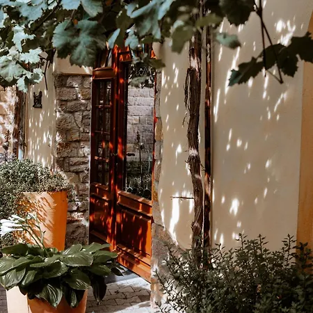 Penzion Weingut Zimmermann 3*