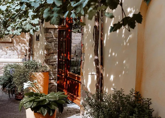 Casa de hóspedes Weingut Zimmermann 3*